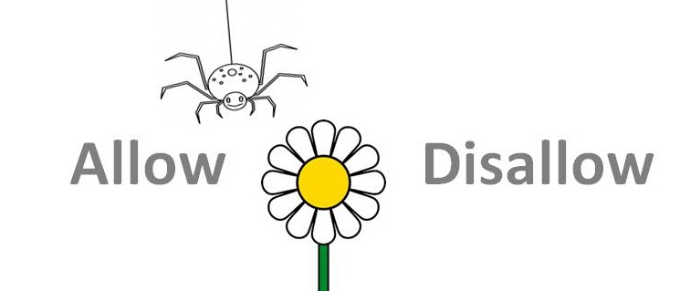 Allow disallow robots