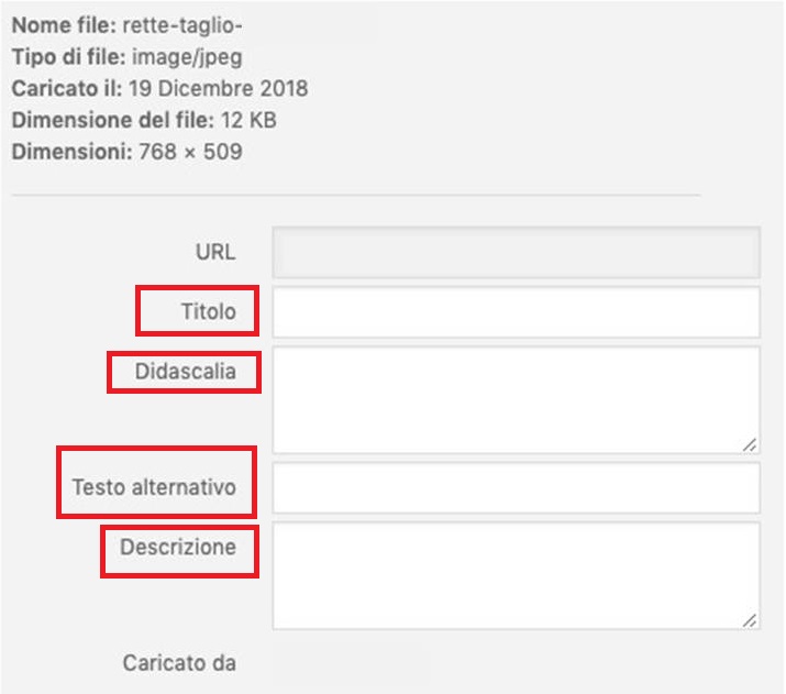 Inserire alt tag cms wordpress
