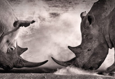 strategia di marketing