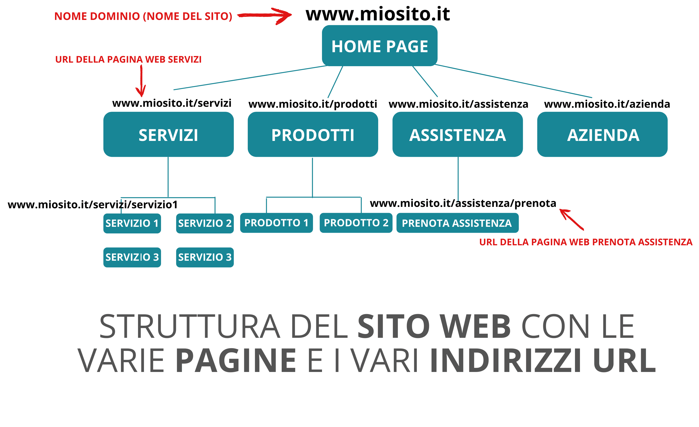 struttura del sito web